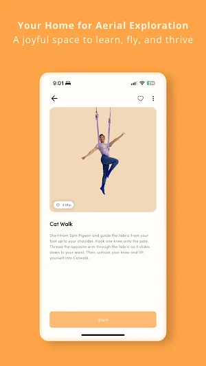 Aerial by Keiran Cho Screenshot 2