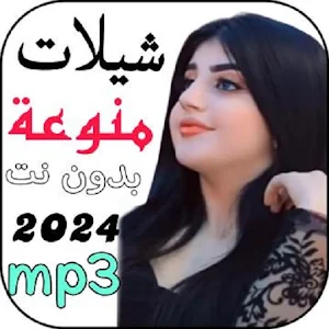 اروع شيلات منوعة 2024 بدون نت Screenshot 0