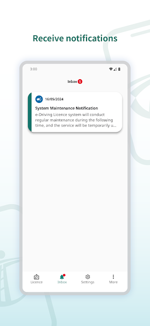 Electronic Driving Licence Screenshot 2