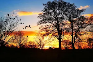 Pzls - free classic jigsaw puzzles for adults Screenshot 3