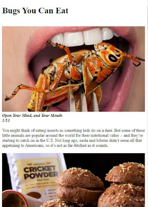 How to Eat Bugs & Insects Screenshot 1