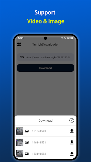 Downloader for Tumblr Screenshot 1