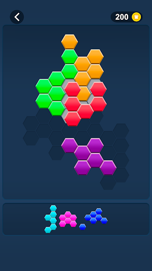 Hex Fill Block Screenshot 2