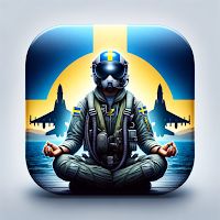 Flygvapnets Meditation