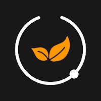 Stone Connect Wi-Fi