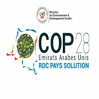 RDC Pays Solution