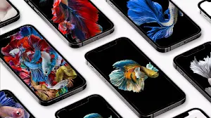 Betta Fish 3D Wallpaper Screenshot 0