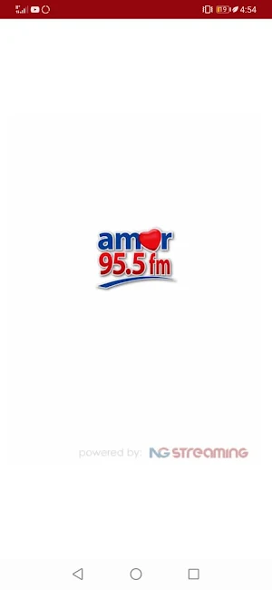 Radio Amor 95.5 FM Screenshot 0