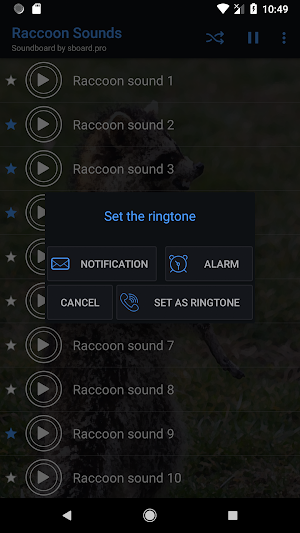 Raccoon Sounds ~ Sboard.pro Screenshot 2
