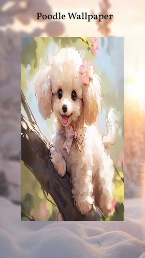 Poodle Wallpapers Screenshot 0