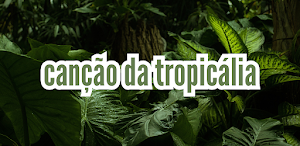 canção da tropicália Screenshot 2