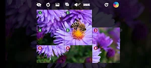 Picture Puzzle LF Screenshot 1