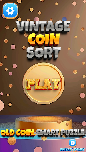 Vintage Coin Sort Screenshot 0