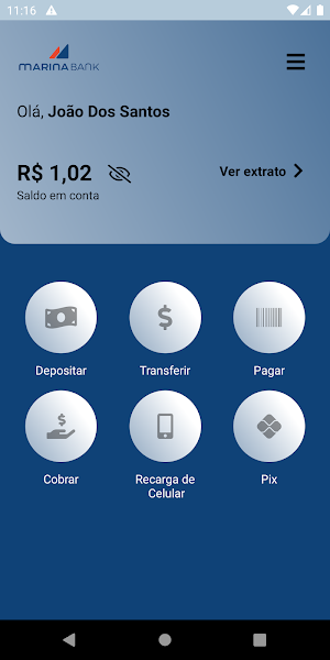 Marina Bank Screenshot 2