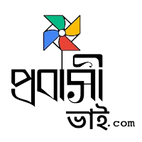 Probashi Vi
