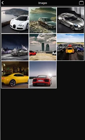 CSE ANVIS Screenshot 1