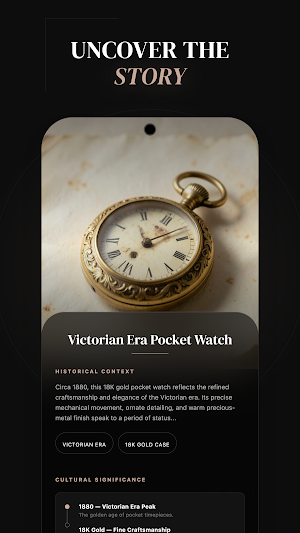 Antique Identifier & Value Screenshot 3