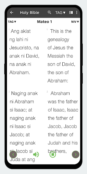 Tagalog English Bible Offline Screenshot 2
