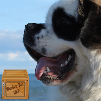 saint bernard wallpaper