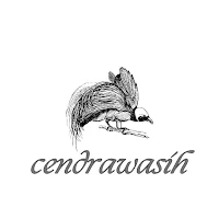 Burung Cendrawasih Wallpaper