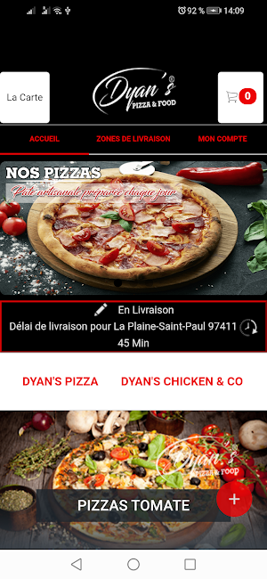 DYAN S PIZZA & FOOD Screenshot 1