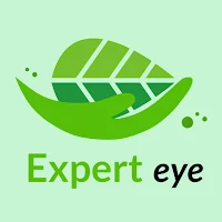 Expert Eye