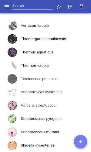 Bacteria Screenshot 0