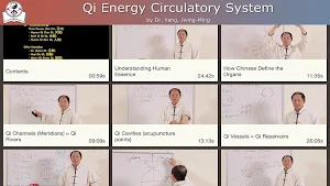 Qi Energy Video Lesson Screenshot 3