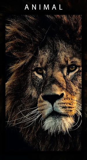 5K Stunning Wallpapers I HD Backgrounds Screenshot 3
