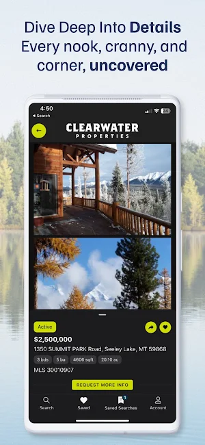 Clearwater Properties Screenshot 2