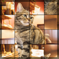 Swapping Cat Puzzle