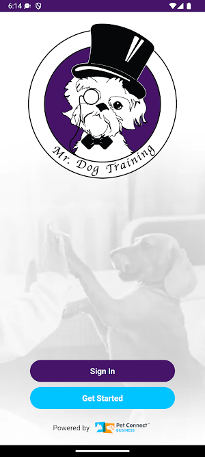 Mr. Dog Training Screenshot 0