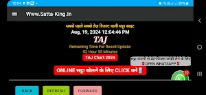 SattaKingApp Screenshot 1