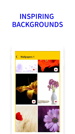 BEAUTIFUL FLOWERS WALLPAPER Screenshot 1