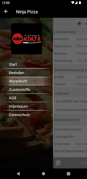 Ninja Pizza Screenshot 2