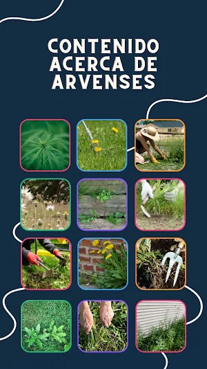 Identifica Arvenses Fácil Screenshot 1