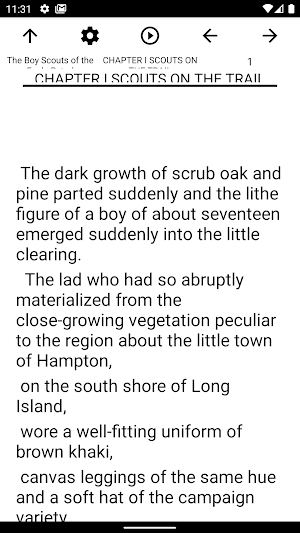 Book, The Boy Scouts of the Ea Screenshot 1