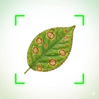 Plant Identifier AI: FloraAI