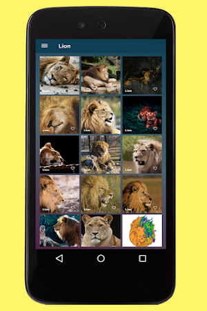 Lion Images Screenshot 1
