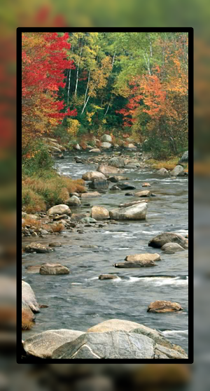 Beautiful River Wallpaper HD Screenshot 0