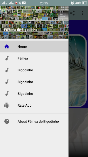Canto Fêmea de Bigodinho Screenshot 0