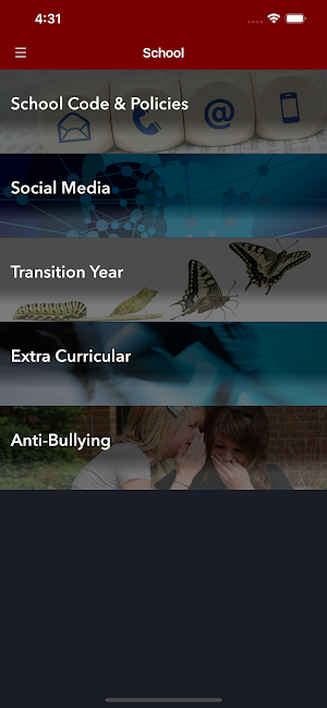 Lucan Community College Screenshot 2