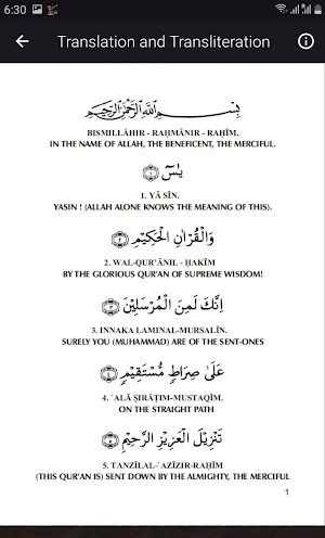 Yaseen MP3 Offline Screenshot 2