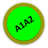 Brief schreiben Deutsch A1 A2