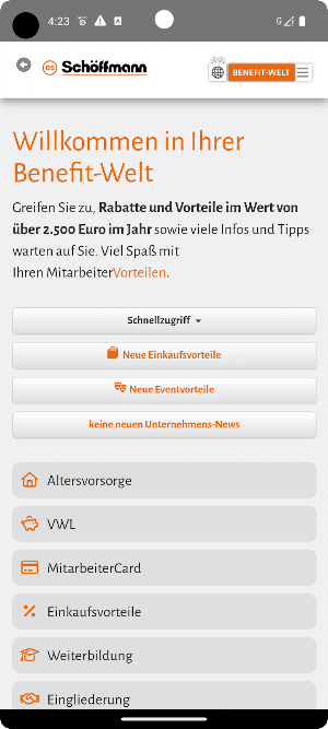 Elektro Schöffmann Screenshot 1