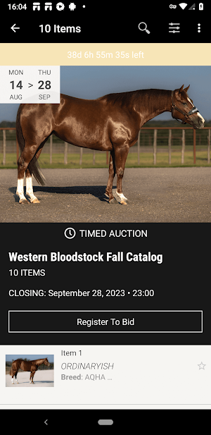 Western Bloodstock Screenshot 3