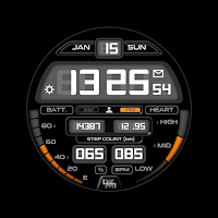 LMwatch bw electronic 04