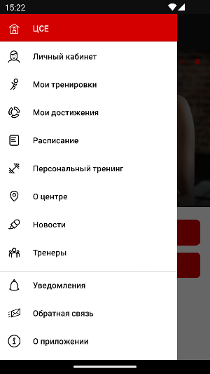Центр Смешанных Единоборств Screenshot 2