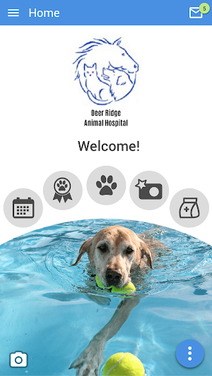 Deer Ridge Animal Hospital Screenshot 0