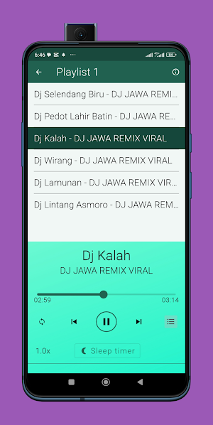 Dj Jawa Remix Viral Screenshot 3